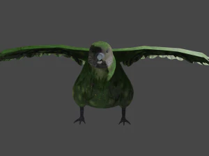 काकापो 3D मॉडल