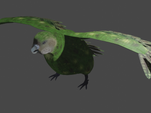 kakapo 3D-Modell