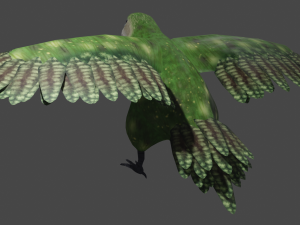 kakapo 3D-Modell