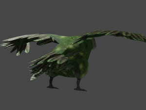 kakapo 3D-Modell