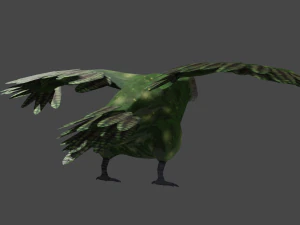 kakapo Modello 3D