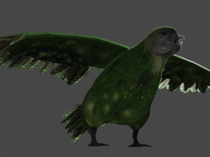 kakapo 3D-Modell