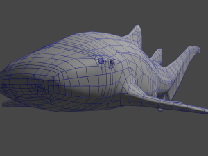 zebra shark Modèle 3D
