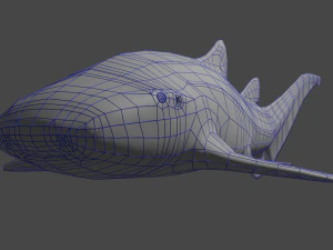 zebra shark 3D Model