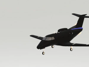 फिनोम 100 3D मॉडल