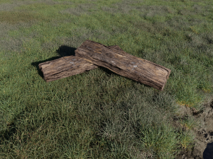 wooden plank Modelo 3D