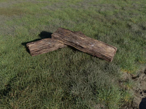 木の板 3Dモデル