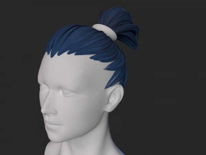 female hair 3D Model