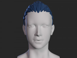 female hair 3D Model