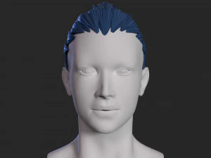 female hair 3D Model