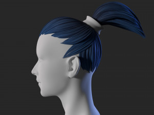 female hair 3D Model