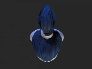female hair 3D Model