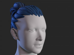 female hair 3D Model