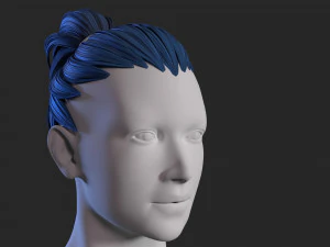 female hair 3D Model