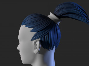 female hair 3D Model
