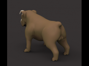 buldog 3D Model