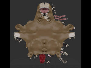 buldog 3D Model