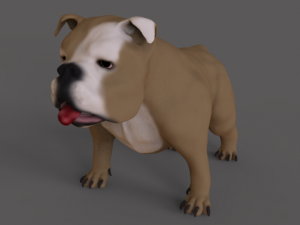 buldog 3D Model