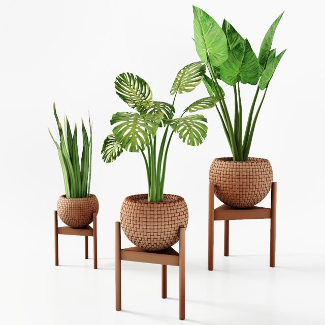 set vases-no2- wicker vase by 3 plant 3D Model .c4d .max .obj .3ds .fbx .stl .blend 