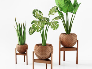 set vases-no2- wicker vase by 3 plant 3D 模型