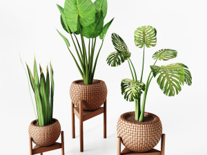set vases-no2- wicker vase by 3 plant 3D Model
