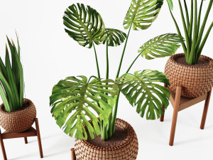 set vases-no2- wicker vase by 3 plant 3D Model