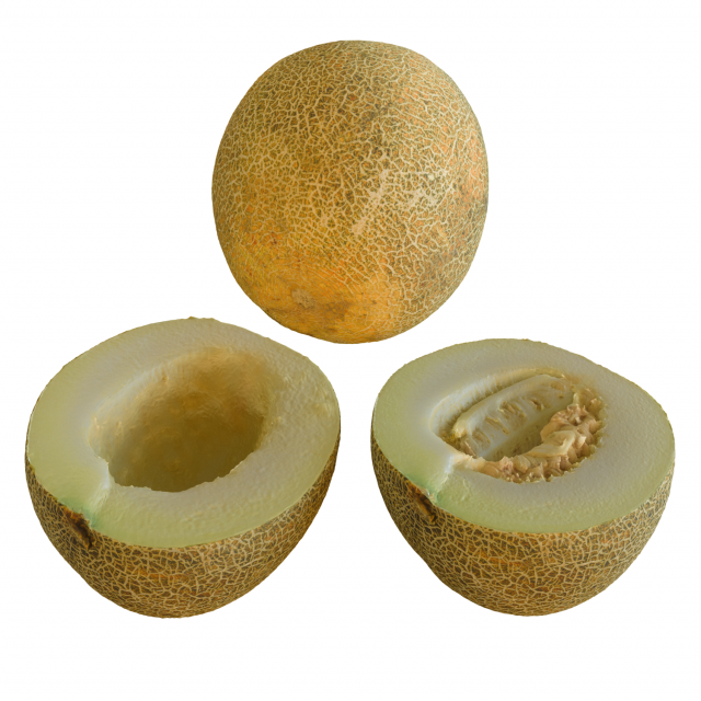 Melon Black Prince and two halves Modello 3D .c4d .max .obj .3ds .fbx .stl .blend 