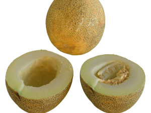 Melon Black Prince and two halves 3D Model
