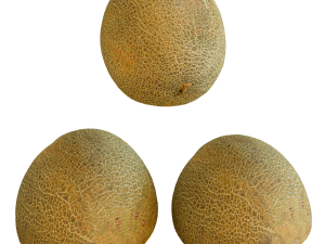Melon Black Prince and two halves Modello 3D