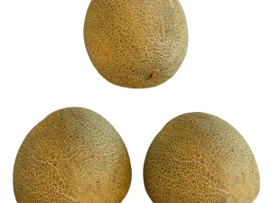 Melon Black Prince and two halves 3D Model