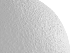 Melon Black Prince and two halves 3D Model