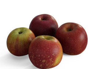 4 Juicy Farm Apples 3D Model