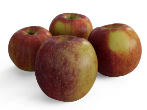 4 Juicy Farm Apples 3D Model