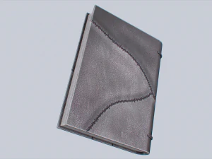 Necronomicon book 3D Model