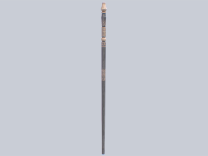 Baston Modello 3D
