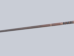 Baston Modelo 3D