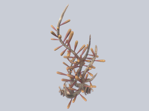Fantasy plant 3D Модель