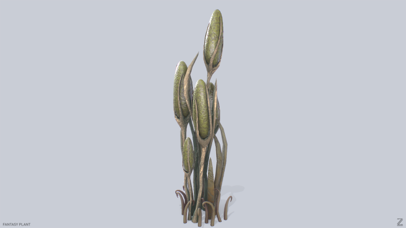 Fantasy plant 3D Model .c4d .max .obj .3ds .fbx .stl .blend 