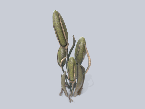 Fantasy plant 3D Model