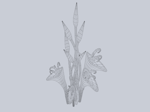 Fantasy plant 3D Model