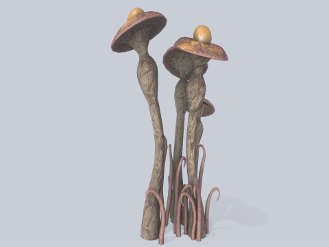 Fantasy plant Model 3D