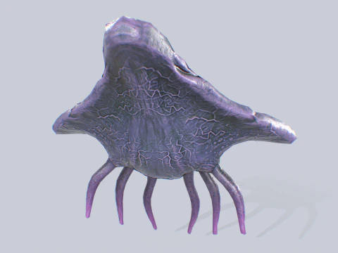 悬浮生物 3D 模型