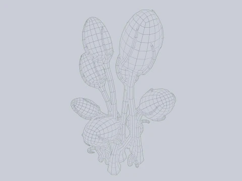 Alien plant 3D Model