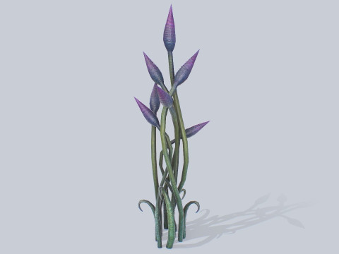 Alien plant 3D 모델