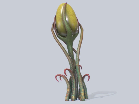 Alien plant 3D Model