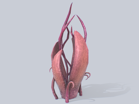 Alien plant 3Dモデル