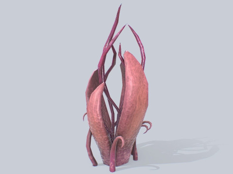 Alien plant 3D Model