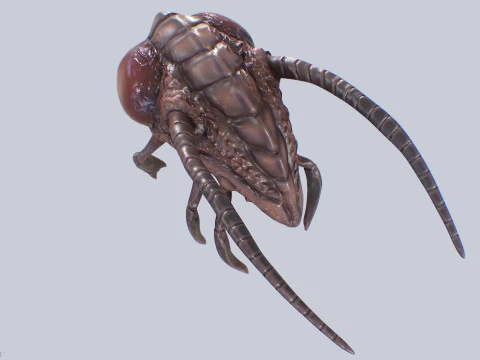 Зараженное летающее существо 3D Модель