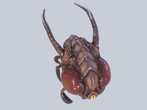 Infested flying creature 3D 模型
