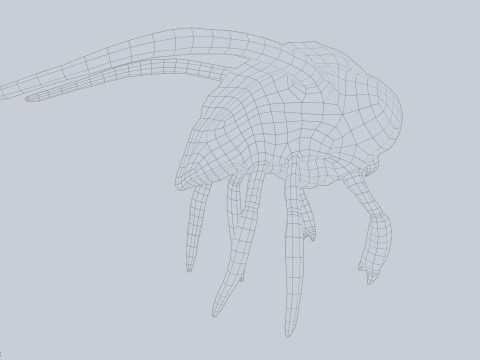 Infested flying creature 3D 模型
